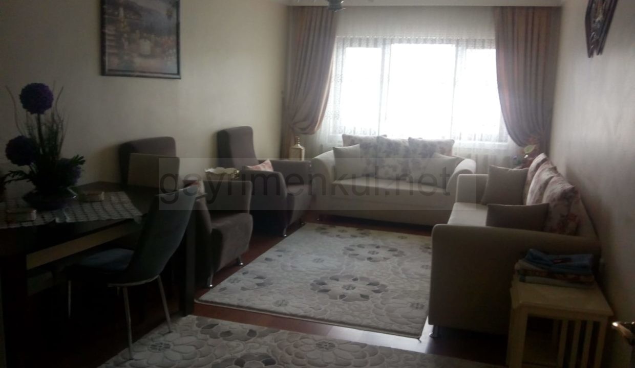 WhatsApp Image 2020-05-02 at 18.48.51 (2)